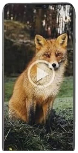 Téléphone avec photo reçue