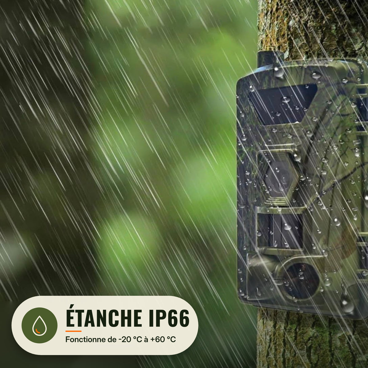 Caméra de chasse 4G LAYONE étanche IP66 sous la pluie
