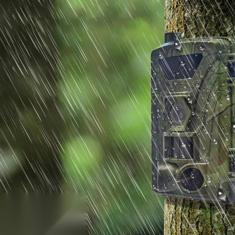 Caméra fixée à un arbre sous la pluie